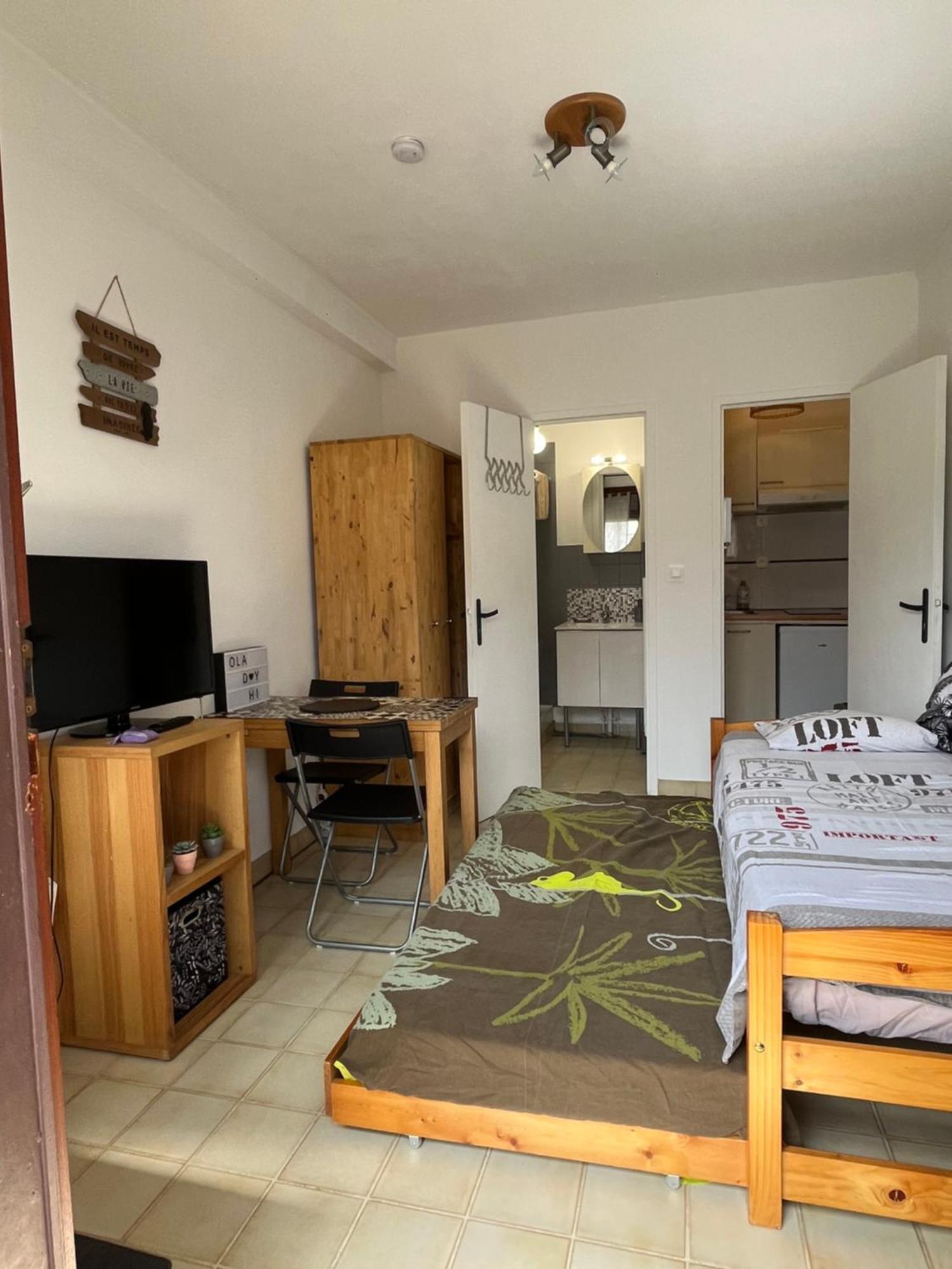 Studio Entre Centre Et Facultes Appartement *